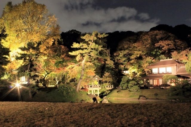 三溪園 紅葉ライトアップ