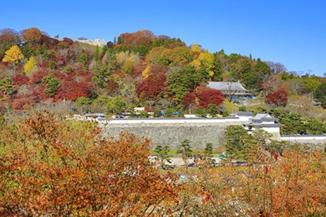 霞ヶ城公園紅葉まつり