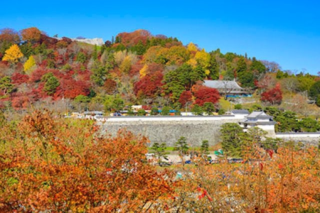 霞ヶ城公園紅葉まつり