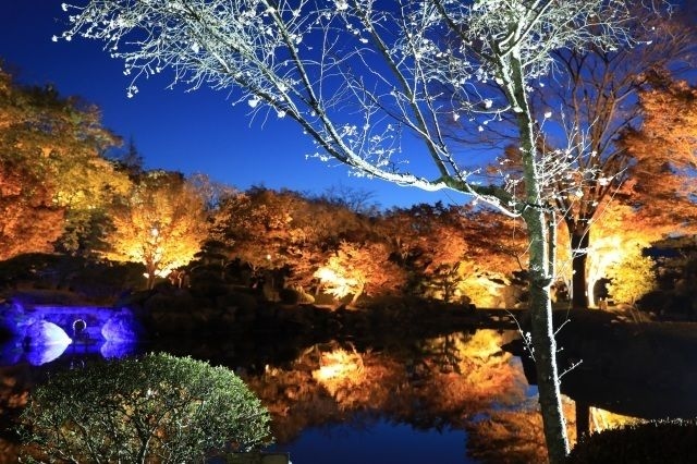 桜山公園ライトアップ