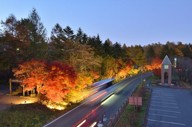 道の駅　草津運動茶屋公園「紅葉ライトアップ」