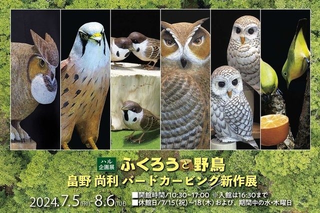 ハル5周年企画～ふくろうと野鳥～バードカービング作家・畠野尚利作品展