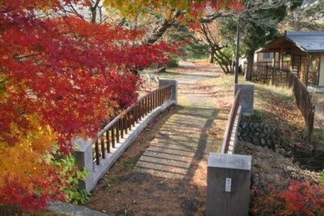 【紅葉・見ごろ】あやめ公園