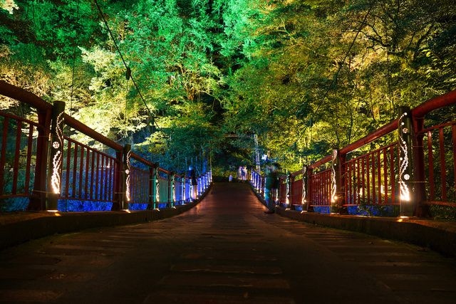 阿蘇くじゅう国立公園菊池渓谷ファンタジーナイト