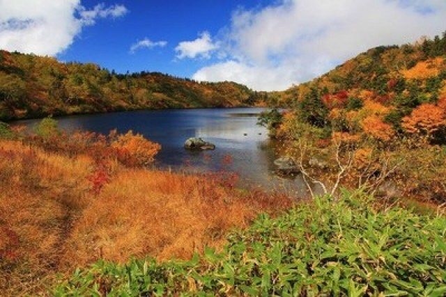 【紅葉・見ごろ】風吹大池