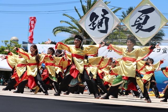 第23回　踊夏祭