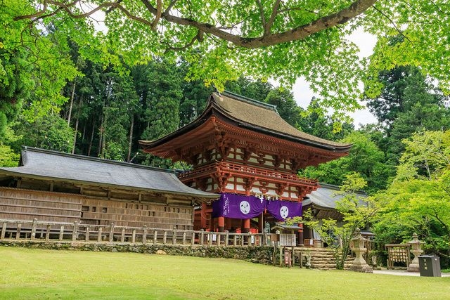 丹生都比売神社 夏越の大祓式