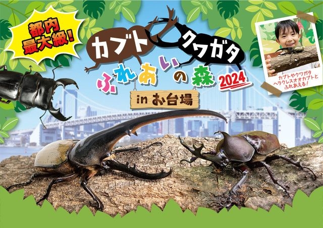 カブト・クワガタ ふれあいの森 in お台場 2024