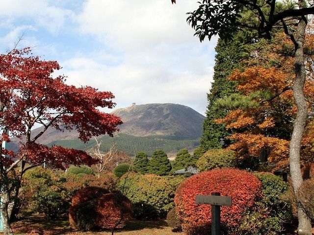 【紅葉・見ごろ】県立恩賜箱根公園