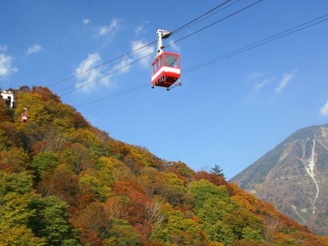 【紅葉・見ごろ】明智平