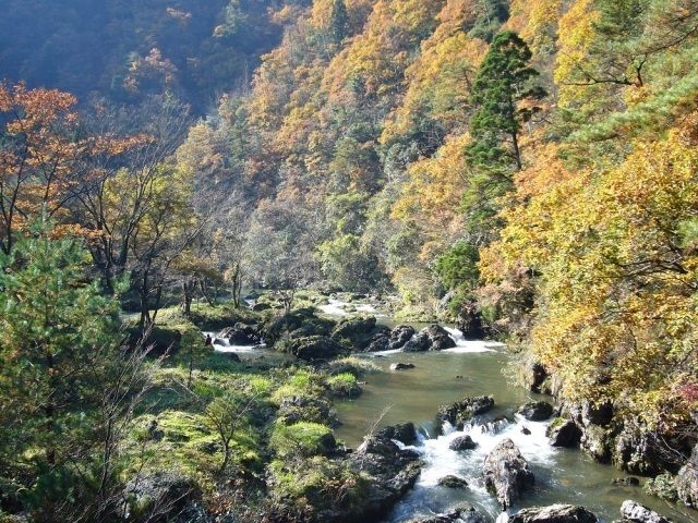 【紅葉・見ごろ】荒俣峡