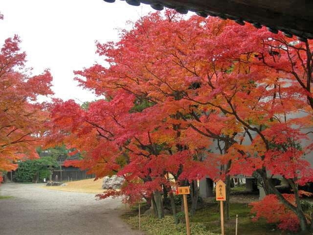 諸戸氏庭園　秋の一般公開