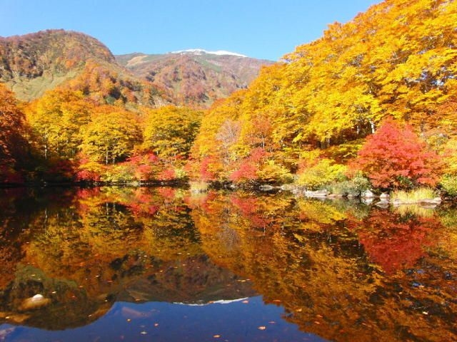 【紅葉・見ごろ】鶴間池