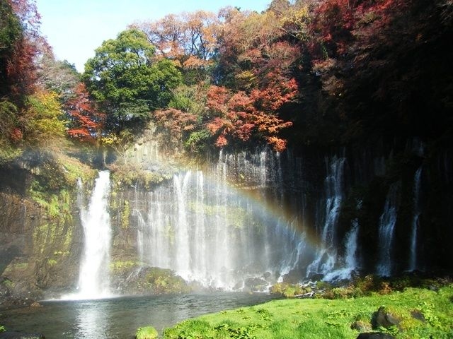 【紅葉・見ごろ】白糸の滝