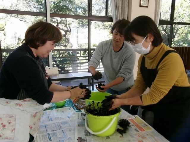 プチボランティア　たねダンゴで花を咲かせましょう 3回目「大きなダンゴを作ろう」