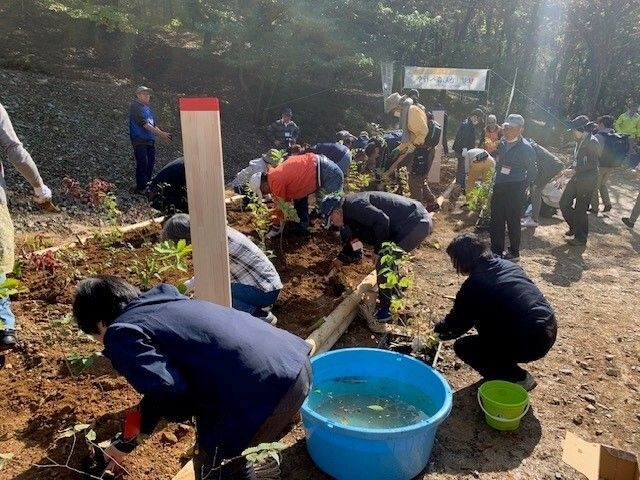 「サザエさん森へ行く」植樹ツアー㏌秩父