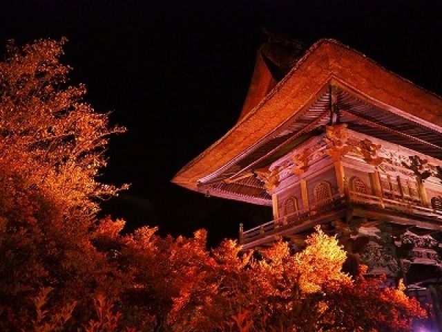 霊松寺紅葉ライトアップ 光の幻想