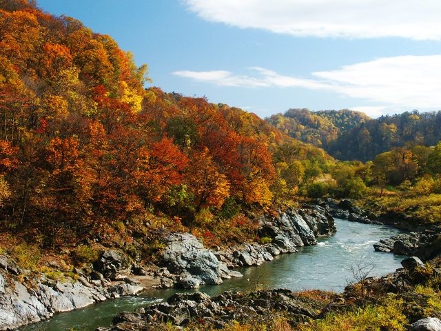 【紅葉・見ごろ】神居古潭