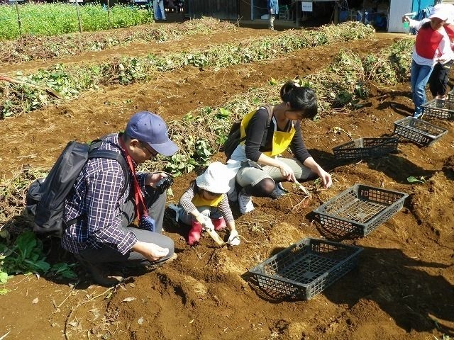 国営昭和記念公園　こもれびの里「サツマイモ掘り体験」