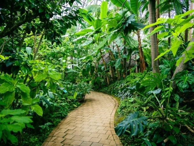 夢の島植物館＆豊洲のワクワクツアー