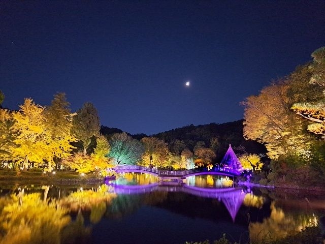 町田薬師池公園四季彩の杜　薬師池　紅葉まつり