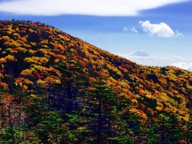 【紅葉・見ごろ】大弛峠