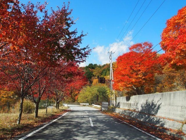 【紅葉・見ごろ】乙女湖