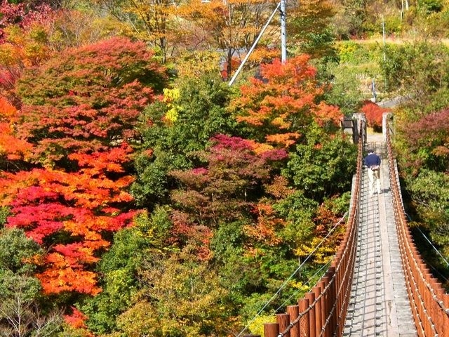 泉町紅葉祭