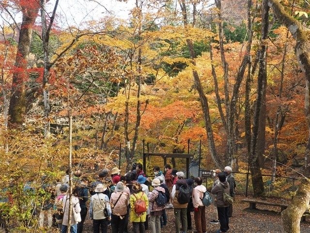 紅葉ガイドツアー