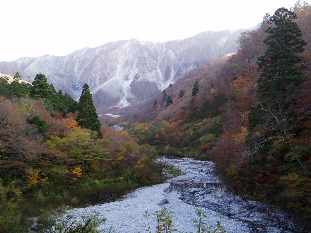 大山秋色週間