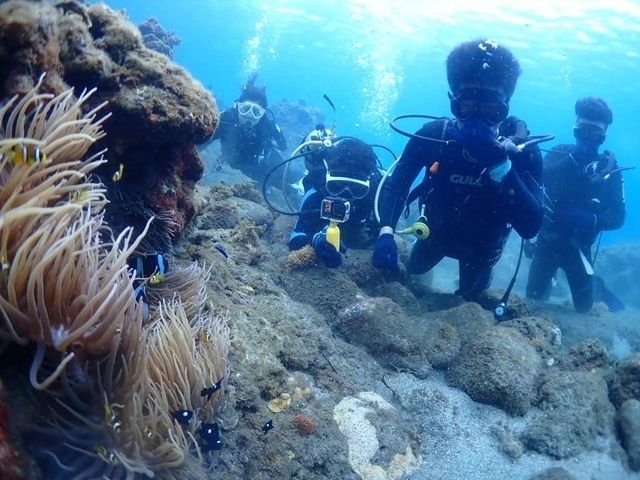 2024年夏の屋久島スペシャルセンバスキャンプ