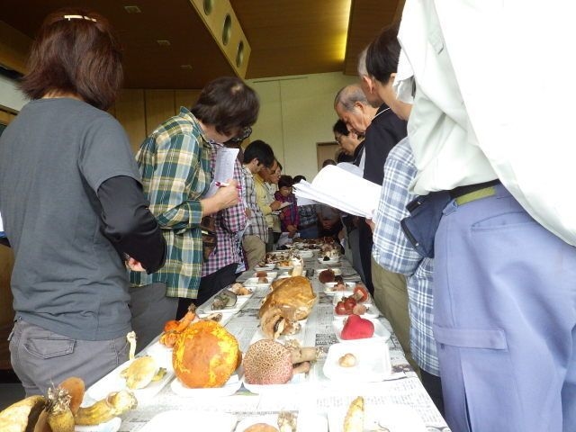 野生きのこ判別講習会