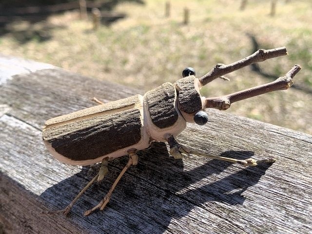 国営昭和記念公園　こどもの森クラフト教室「小枝で生きものづくり」