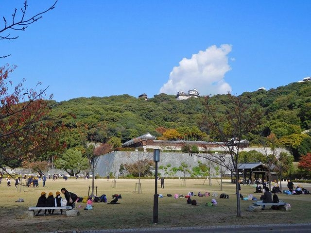 第1回 ロハスパーク松山@城山公園