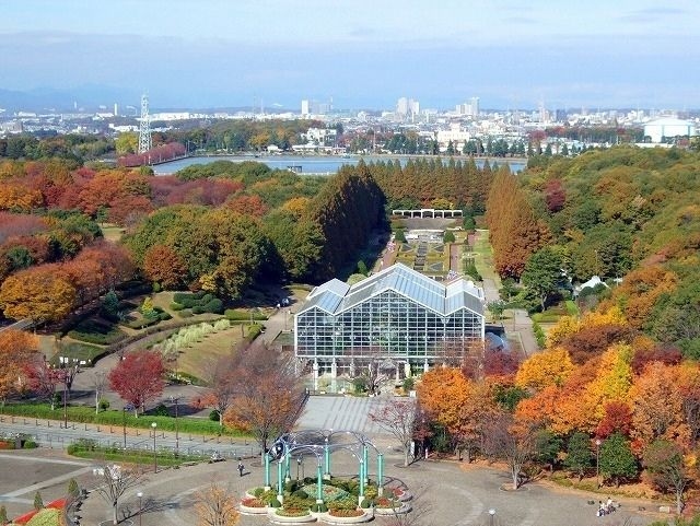 【紅葉・見ごろ】相模原公園