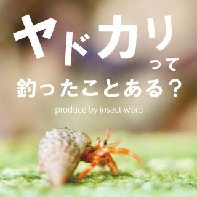 ヤドカリ釣り体験