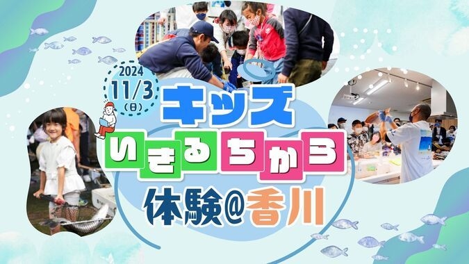 とれたての魚をさばく！小学生のための「食育体験」＠香川