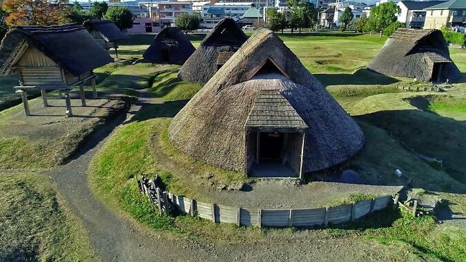 登呂博物館　赤米収穫体験・登呂遺跡探検ツアー