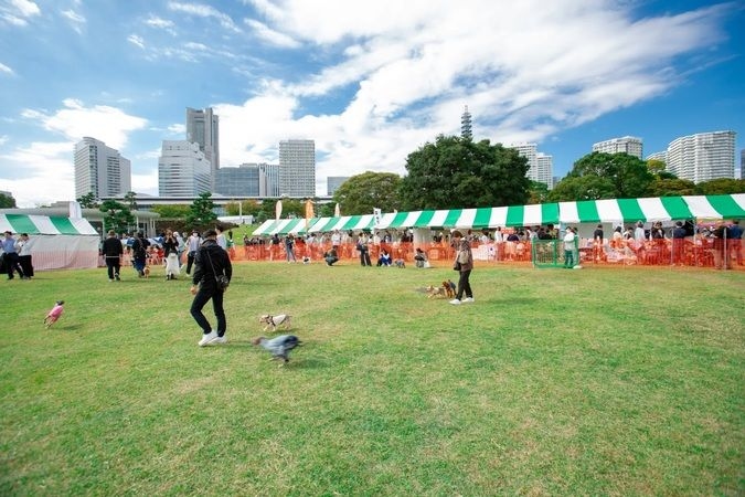 YOKOHAMA GOGO DOG FES 2024 秋