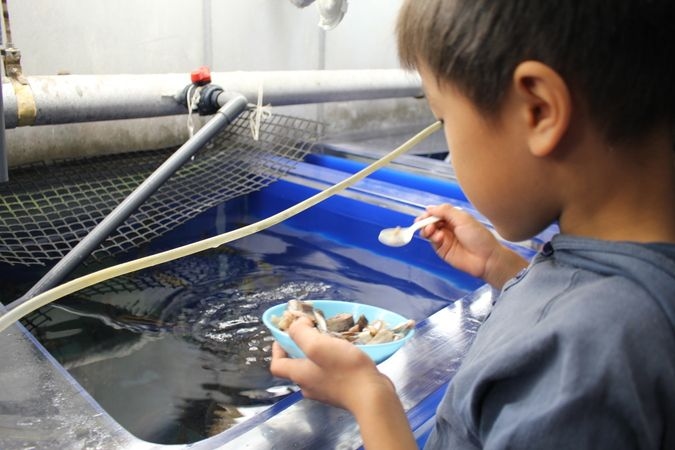 エサやり体験ツアー　展示水槽コース