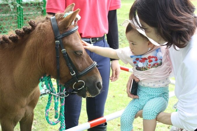 夏休みイベント「馬とのふれあい撮影会」