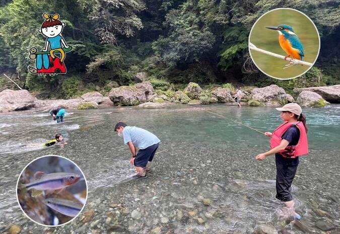 伝統の漁法でチャレンジ！清流のハヤ釣り体験