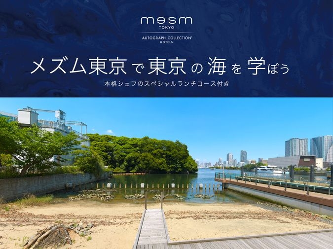 夏休みの自由研究「メズム東京で東京の海を学ぼう」８月３日＆４日