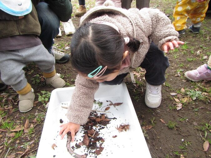 親子で楽しむはじめての谷津干潟＜秋＞