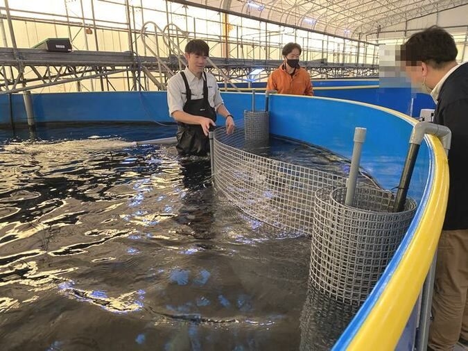 陸上養殖のお仕事をしよう！