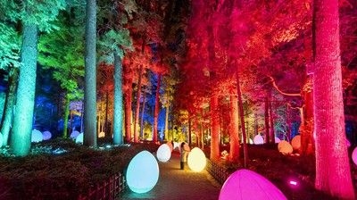 チームラボ 偕楽園 光の祭 2022