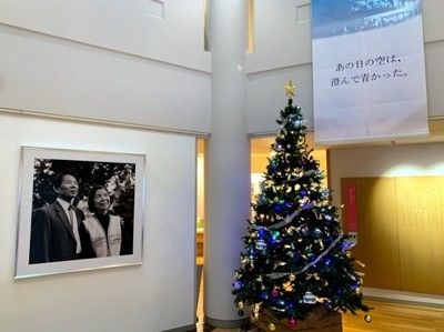 三浦綾子記念文学館　クリスマスツリー設置