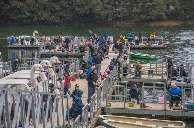 豊田湖ワカサギ釣り大会